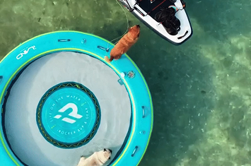 Share Laughs, and Stay Afloat Together