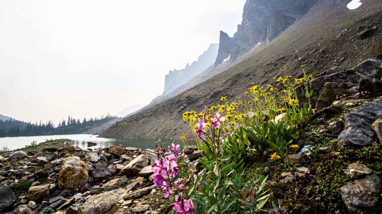 Backcountry Bliss — Hiking and Paddling in Private Paradise!