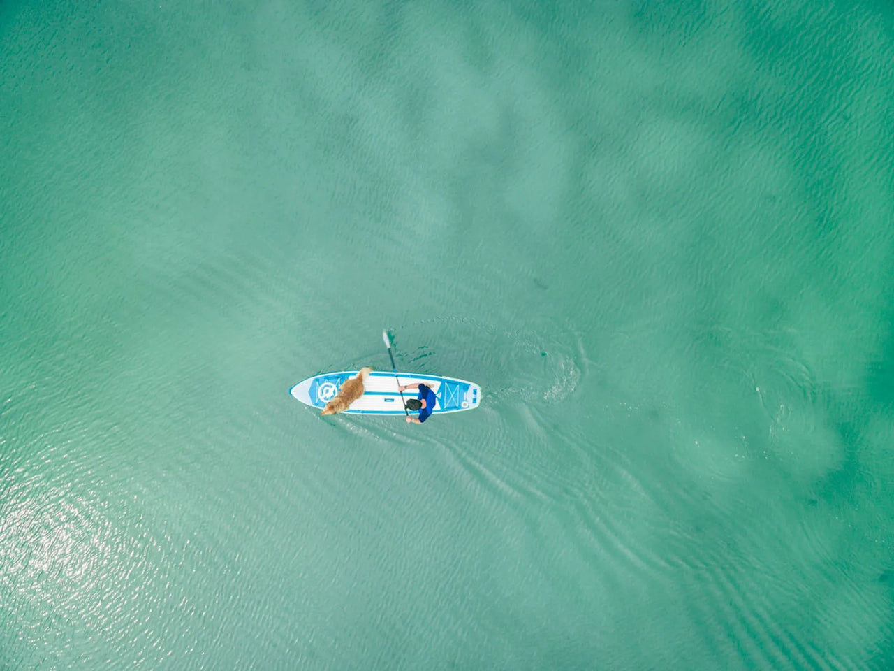 Paddle Board Lake Tahoe Guide: 17 Best Spots