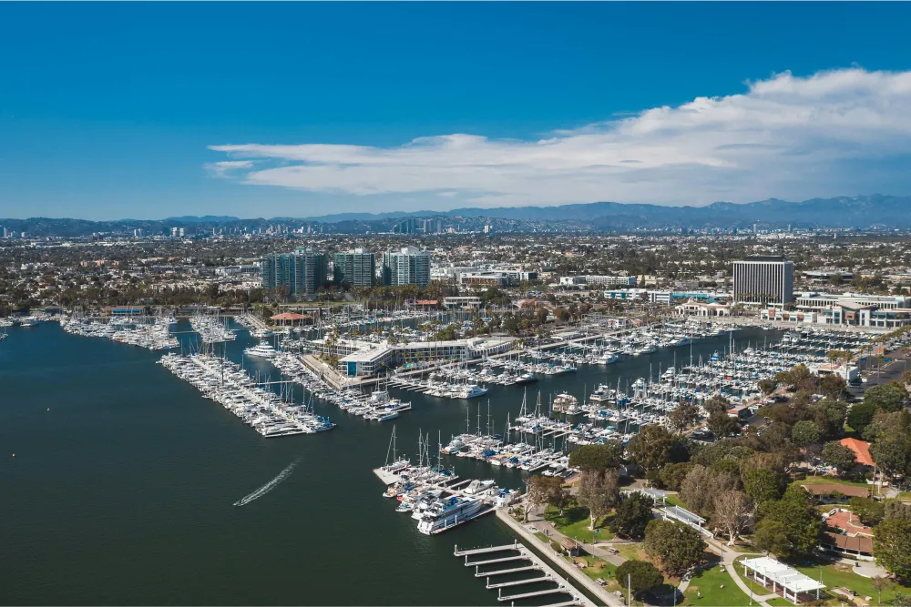 Paddle Boarding Marina Del Rey: All You Need to Know