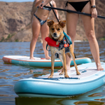 NAUTICAL GO CRUISER Inflatable Paddle Board | Lifestyle