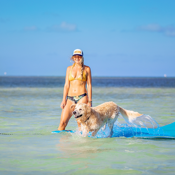 Woman standing in the water next to a dog who is jumping from the floating swim mat